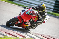 brands-hatch-photographs;brands-no-limits-trackday;cadwell-trackday-photographs;enduro-digital-images;event-digital-images;eventdigitalimages;no-limits-trackdays;peter-wileman-photography;racing-digital-images;trackday-digital-images;trackday-photos